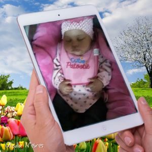 Meet your Posher, Paulette